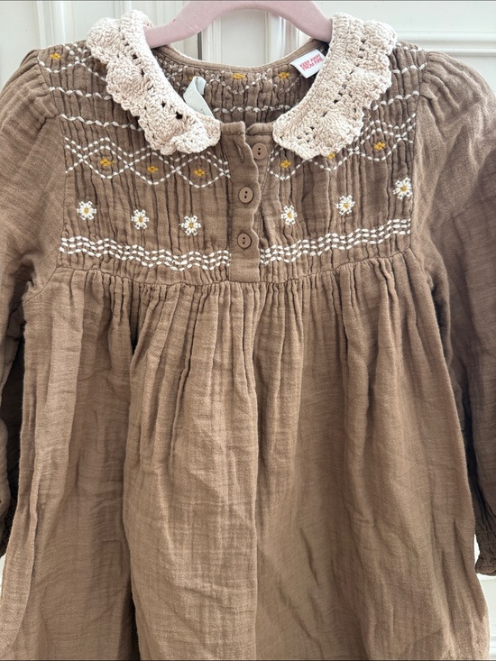 Zara Other - Zara Brown Dress with Cream Crochet Collar and Floral Embroidery